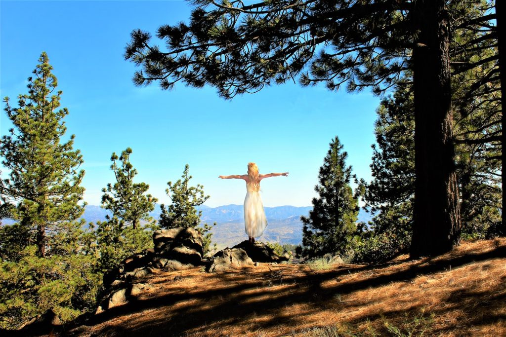 woman in white long sleeve shirt sitting on brown tree log during daytime