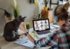 HSE Reminds Employers of Health and Safety Duties for Home Workers A person wearing headphones attends a video conference on a laptop at a home office desk, prioritizing their wellbeing. A gray cat sits beside the laptop, adding to the cozy atmosphere.