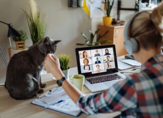 HSE Reminds Employers of Health and Safety Duties for Home Workers A person wearing headphones attends a video conference on a laptop at a home office desk, prioritizing their wellbeing. A gray cat sits beside the laptop, adding to the cozy atmosphere.