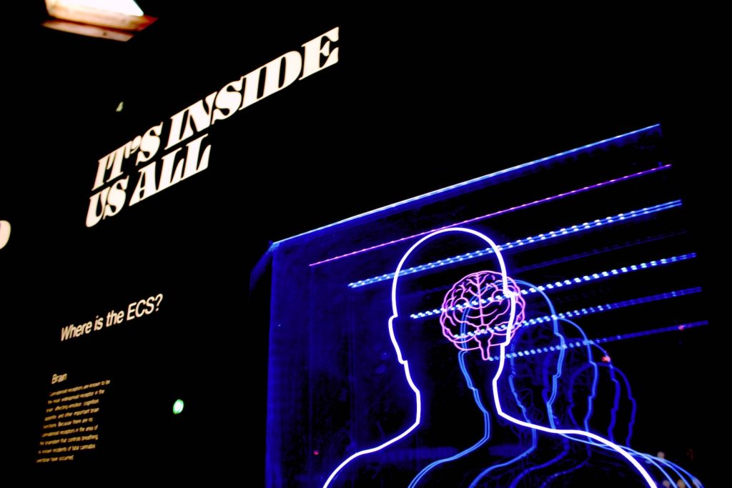 Neon outline of a human head with a brain, accompanied by text that says "IT'S INSIDE US ALL" and "Where is the ECS? Wellbeing at its core.