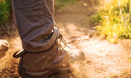 Bertrand Stern-Gillet: national walking month may be over but the benefits remain strong as ever!