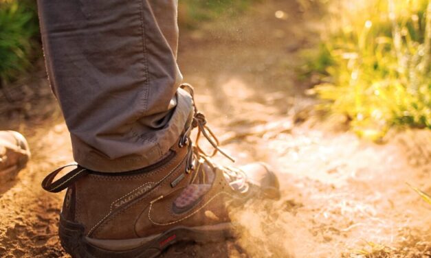 Bertrand Stern-Gillet: national walking month may be over but the benefits remain strong as ever!