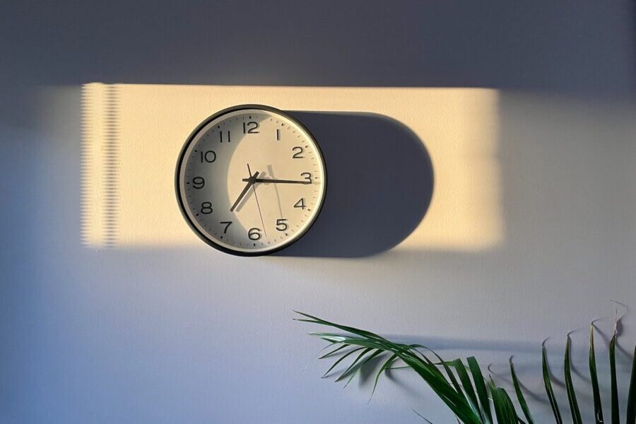 a clock on a wall with a plant next to it