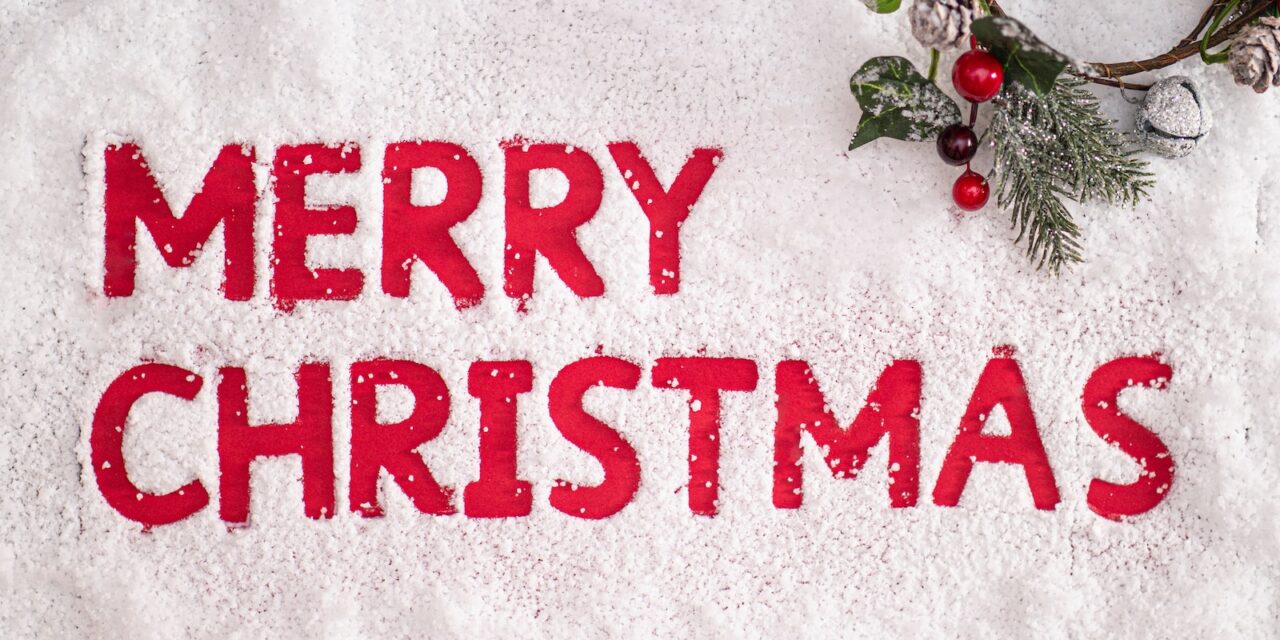 Merry Christmas from Workplace Wellbeing Professional!