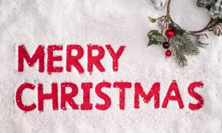 Merry Christmas from Workplace Wellbeing Professional!