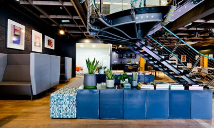 Leo Maher: From drab to fab – wow factor office designs revolutionise employee wellbeing