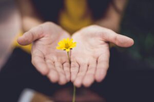 Hand holding a flower