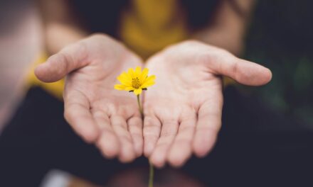 Dr Felicity Baker: How to immunise your organisation against the silent stress epidemic