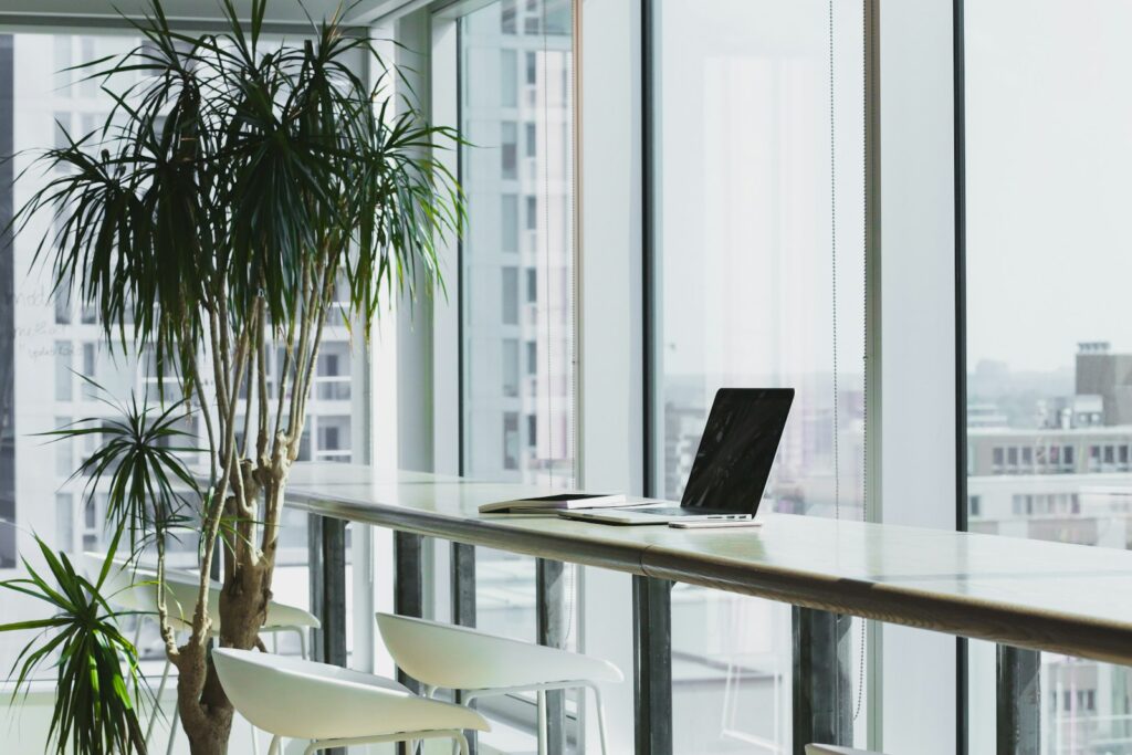 A calm office space with a tall plant and laptop.