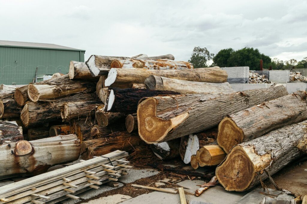 Piles of timber logs.