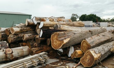 Timber Firm Fined After Worker Loses Three Fingers in Saw Accident