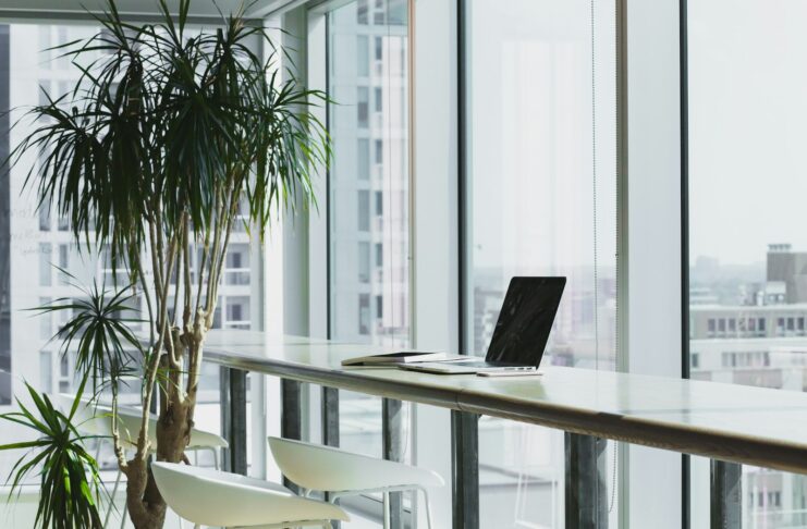 An office window desk with a plant beside it.