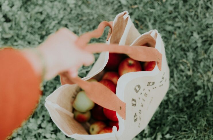 A person carries a bag of food shopping.