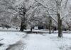 Lack of Daylight Puts Millions of Workers at Risk this Winter A park bench covered in snow next to trees.