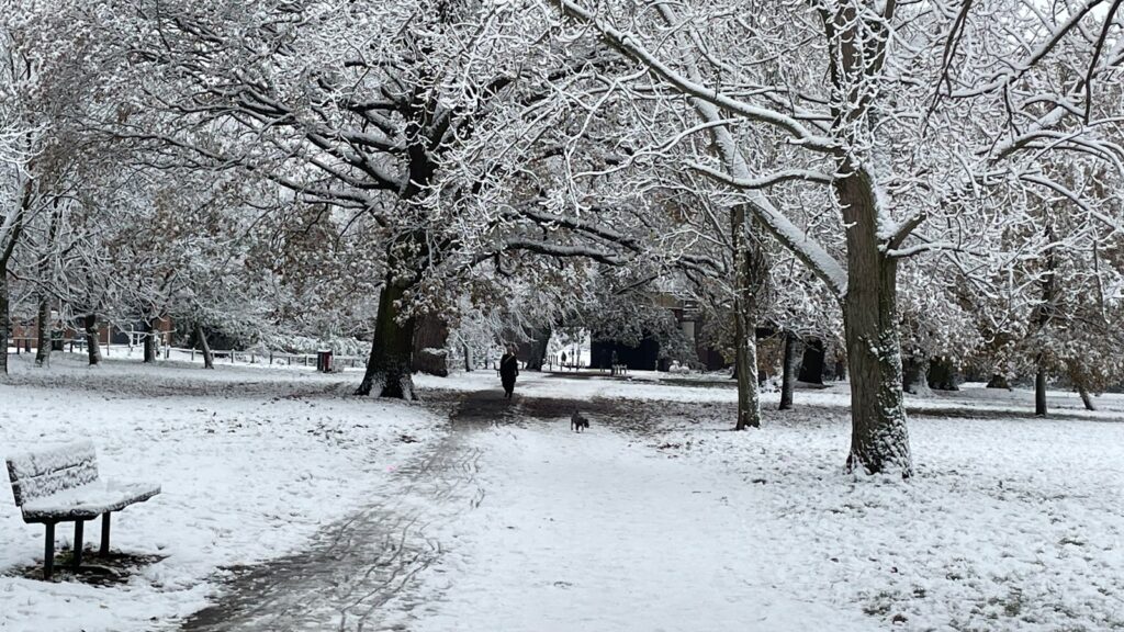 A park bench covered in snow next to trees.