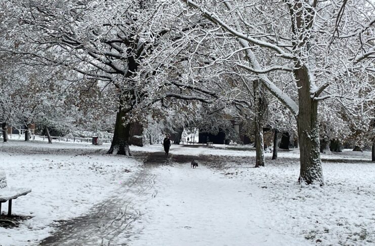 A park bench covered in snow next to trees.