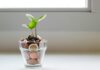 Pension Boosts Top Employee Wish Lists for 2026 Coins in a glass with a plant on top, signifying financial growth.