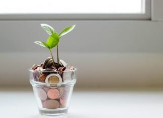 Pension Boosts Top Employee Wish Lists for 2026 Coins in a glass with a plant on top, signifying financial growth.